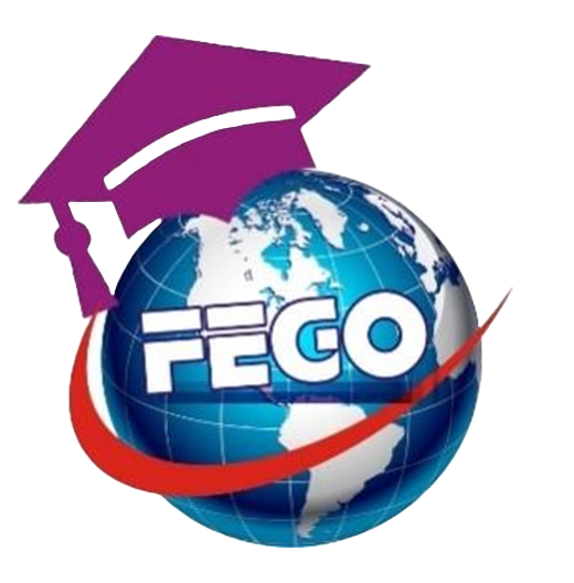 FEGO Education Consult logo